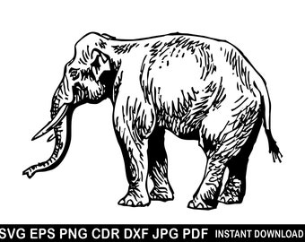 Elefante Svg Eps Png Dxf Jpg Pdf Cdr, Clipart di elefante, Vettore di testa di elefante, Elefante dettagliato, Silhouette di elefante, Clip art di animali