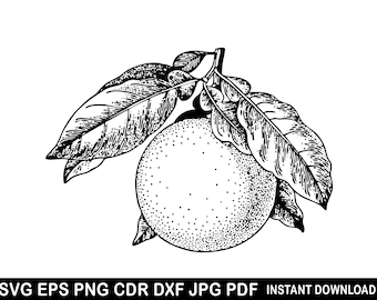 Limón Svg / Limones Vector / Limón Clipart / Archivo de corte de limón / Silueta de limón / Limón Vector / Diseños de limón / Logotipo de verano / Cocina Svg