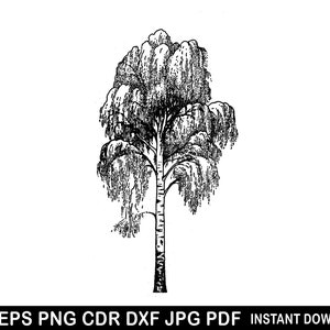 Bouleau arbres Svg, Svg de décoration de Noël, hiver tremble Svg, fichier de découpe de papier, fichier personnalisé laser bouleau