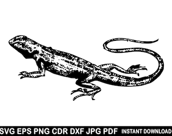 Testa di drago barbuto SVG EPS PNG DXF Jpg PDF, logo di rettile, clipart di lucertola, sagoma di rettile, vettore di lucertola, maglietta di lucertola, disegno di lucertola