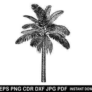 Palm Tree Svg, Palm Eps, Palm Png, Palm Tree Vector, Palm Cut File For Cricut, Palm Silhouette, Palm Decal, Palm Sticker, Palm Design