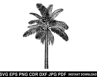 Palm Tree Svg, Palm Eps, Palm Png, Palm Tree Vector, Palm Cut File For Cricut, Palm Silhouette, Palm Decal, Palm Sticker, Palm Design