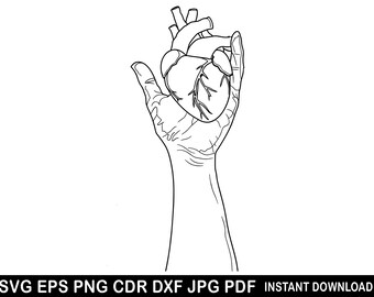 Cardiology Anatomy Heart Hand Svg Eps Png Dxf Jpg Pdf, Anatomical Heart In Hand Vinyl Cut File for Silhouette or Cricut, 300 dpi vector