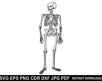 Esqueleto Dançando Svg, Esqueleto Vetorial, Crânio Cricut, Esqueleto PNG, Silhueta Engraçada de Halloween, Adesivo Assustador, Clipart de Feliz Dia das Bruxas