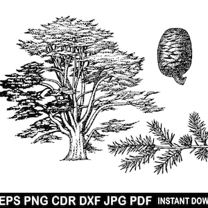Fir Tree Branch Svg, Pinecone Eps, Pinecone Cutting File, Christmas Logo, Christmas Tree Cricut, Winter Clipart, Evergreen Cricut