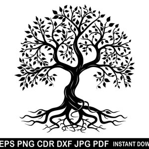 May include: Black and white silhouette of a tree with a thick trunk and intricate roots. The tree has a full canopy of leaves.