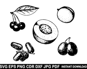 Cherry Grape Apricot Peach Currant Agrus Apple Pear Fruit Berries Svg Eps Png Dxf Cdr Vector Silhouette Clip Art Decor Decal Cutting Cricut