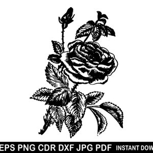 Roses Svg, Flower Eps, Rose Silhouette, Rose Dxf, Rose Clipart, Rose Decal, Rose Cutting File, Rose Vector, Instant Download