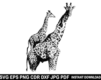 Giraffsilhuett SVG, Safaridjur Clipart (digital nedladdning)