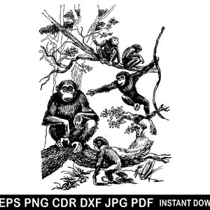 May include: Black and white line drawing of four monkeys sitting in a tree. The monkeys are drawn in a realistic style, with detailed fur and facial expressions.