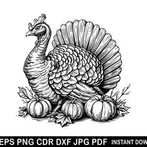 Thanksgiving SVG, Turkey SVG, Fall Vibes SVG, Png, Thanksgiving Season Svg Files for Cricut, Silhouette, Sublimation Designs Downloads