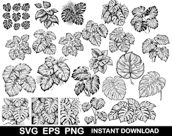 Tropical Leaves Svg | Monstera Clipart | Monstera SVG Bundle Tropical Leaf | Monstera Silhouette Svg | Tropical Leaves Svg For Cricut