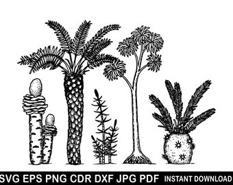 Roślina tropikalna Dxf, Rośliny doniczkowe Jpg, Silhouettte Cameo Pdf, Kaktus Svg, Sukulenty Eps, Klipart z kaktusami, Granica z kaktusami Png