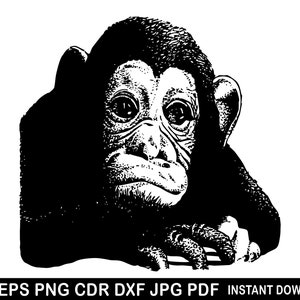 Monkey Face Svg, Cute Monkey Eps, Monkey Vector, Monkey Clipart, Baby Monkey Cricut Monkey Silhouette, Monkey Cameo, Monkey Cricut