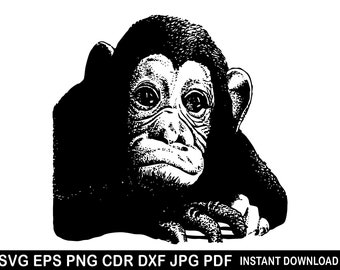 Monkey Face Svg, Cute Monkey Eps, Monkey Vector, Monkey Clipart, Baby Monkey Cricut Monkey Silhouette, Monkey Cameo, Monkey Cricut