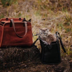 Leather Pet Carrier Bag: Denim Travel Bag for Small Dogs & Cats