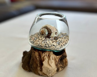 Jarrón de madera de raíz, vidrio de madera de raíz, jarrón de vidrio de madera de raíz, vidrio sobre raíz, vidrio con raíz, decoración de sala de estar, estética de raíz