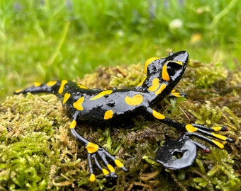 Anfibi Martin Pescatore Sandali Salamandra Pezzata, Salamandra