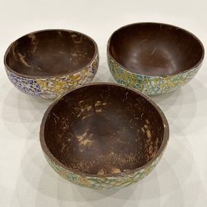 Coconut eggshells, coconut shell, coconut bowl, bowl, coco-bowl, colored coconut shell, colorful coconut shell, bowl, cereal bowl