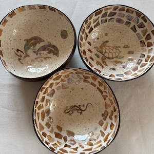 Coconut shell mother of pearl, coconut shell, coconut shell, coconut bowl, bowl, coco bowl, bowl, coconut shell animal pattern, cereal bowl