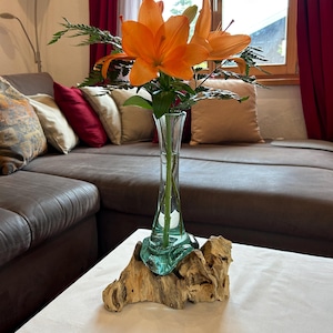 Vase root wood, vase on root, flower vase, glass flower vase, vase, vase glass, flowers aesthetic, living room, decoration natural