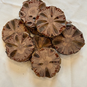 Op de afbeelding: Een stapel van acht bruine en rode houten onderzetters met een uniek, ingewikkeld patroon. De onderzetters zijn rond en hebben een natuurlijke, rustieke uitstraling.