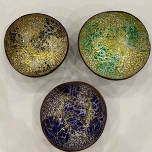 Coconut bowl, glitter coconut bowls, coconut bowl, coconut bowl, bowl, coco bowl, colored coconut bowl, bowl