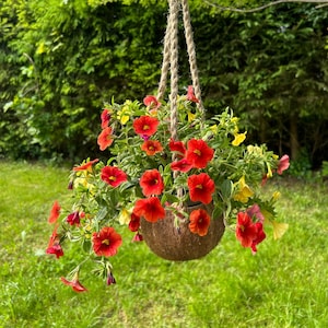 Peut inclure: Un pot suspendu en forme de noix de coco avec des fleurs rouges et jaunes. Le pot est suspendu à une corde en fibre naturelle.