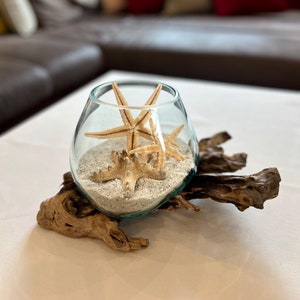 Vase root wood, glass root wood, glass vase root wood, glass on root, glass with root, living room decoration, root aesthetic
