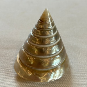 May include: A white and gold seashell with a cone shape and a smooth, iridescent surface.