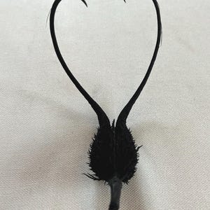 Könnte beinhalten: Schwarzes botanisches Exemplar in Herzform. Die Oberseite wölbt sich herzförmig, mit einer strukturierten, knollenförmigen Basis und einem kleinen Stiel. Das Objekt befindet sich vor einem neutralen, cremefarbenen Hintergrund.