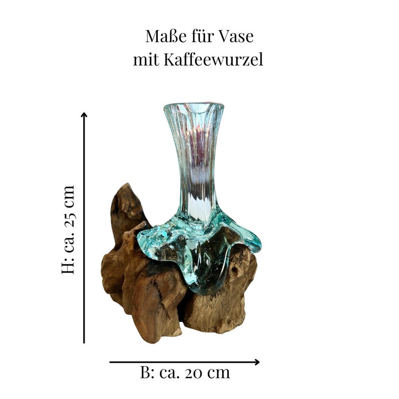 Vase Wurzelholz, Vase auf Wurzel, Blumen Ästhetisch, Glas Blumenvase, Deko, Wohnzimmer Dekoration, Zierlich Bild 4