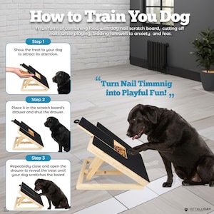 Image showcasing Dog Scratch Board Nail File With Stand and 2 Additional Sandpapers ...