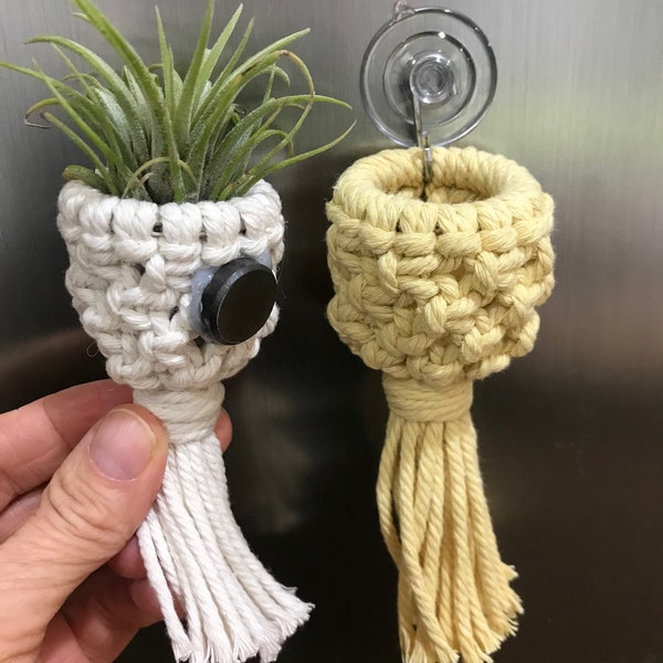 Mini Macrame Air Plant Holder