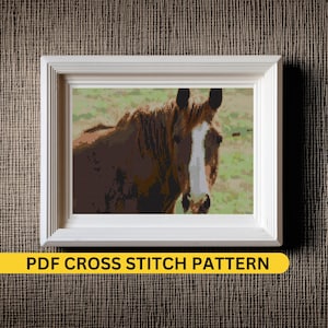 Mustang Horse Cross Stitch Pattern PDF  Instant Download Wild Western Embroidery Design for DIY Craft best Christmas gift to horse lover