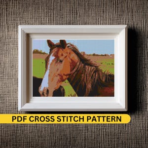 Mustang Horse Cross Stitch Pattern PDF - Instant Download Wild Western Embroidery Design for DIY Craft best Christmas gift to horse lover