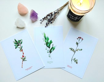 Set of 3 botanical watercolor printed postcards, handmade, boho style
