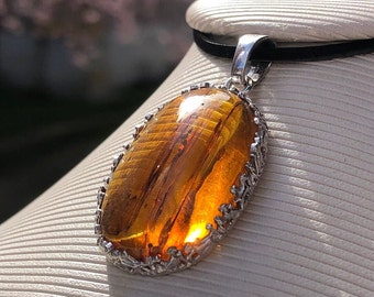Cognac Baltic Amber Pendant: 925 Sterling Silver, Natural Gemstone