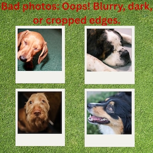 May include: Four square polaroid-style photographs of dogs arranged on a green textured background. The red text at the top reads: Bad photos: Oops! Blurry, dark, or cropped edges. Each photo displays a different dog breed with varying lighting.