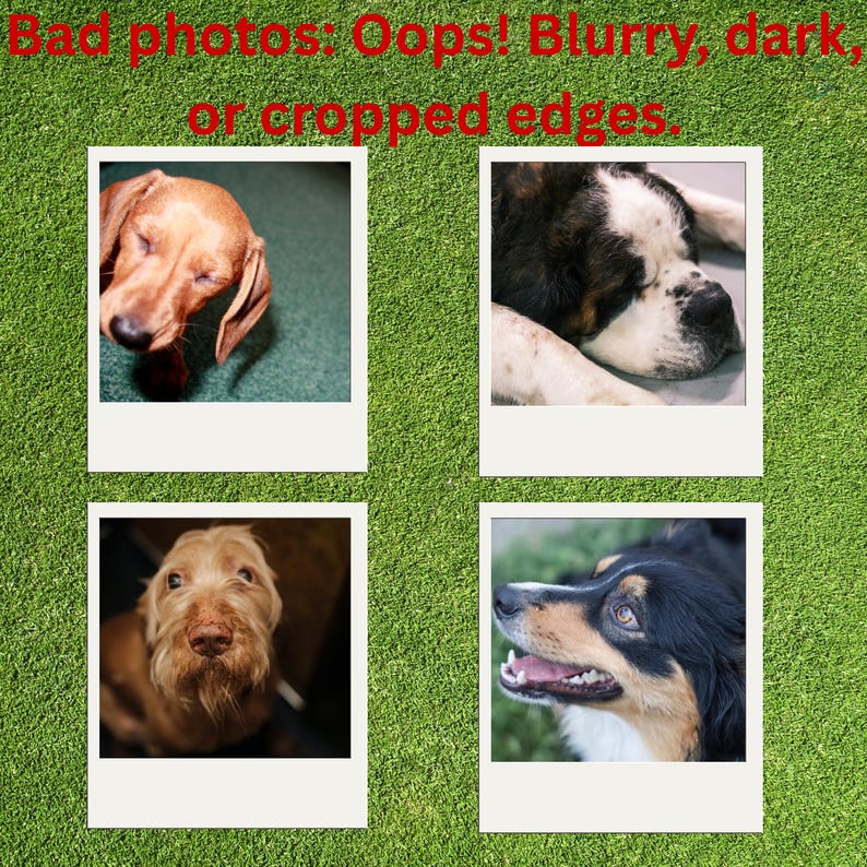 May include: Four square polaroid-style photographs of dogs arranged on a green textured background. The red text at the top reads: Bad photos: Oops! Blurry, dark, or cropped edges. Each photo displays a different dog breed with varying lighting.