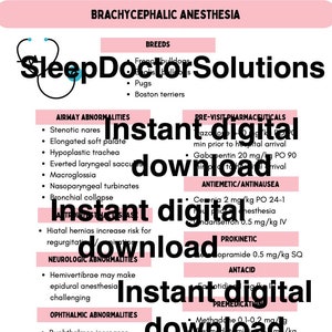 Peut inclure: Une infographie rose et blanche intitulée "Anesthésie brachycéphale" avec le texte "SleepDoctorSolutions" en grande police bleue. L'infographie liste les anomalies respiratoires, neurologiques, ophtalmiques et autres anomalies anatomiques courantes chez les chiens brachycéphales. L'infographie comprend également une liste de produits pharmaceutiques pré-visite, de médicaments antiémétiques/antinauseux, de médicaments prokinétiques, d'antiacides, de prémédications et de fournitures de récupération.