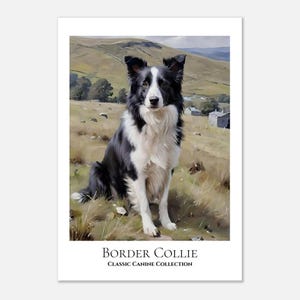 Border Collie, Wall Art Poster, Canine Art Collection Perfect Gift for Dog Lovers - Unframed Premium Matte Paper Poster