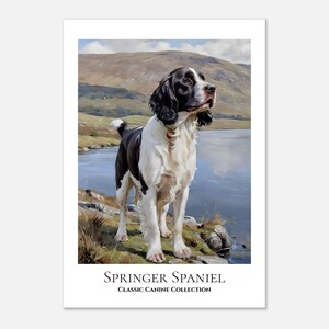 Póster de Springer Spaniel para pared/Colección de arte canino clásico/Regalo perfecto para amantes de los perros - Póster de papel mate premium sin marco