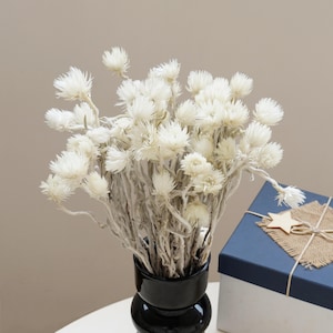 White Strawflowers，Dried white Everlasting Flowers，White Daisies,Dried flower decoration, DIY wedding flower arrangement