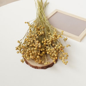 Gedroogd vlas, natuurlijk gedroogd linum, bos gedroogd vlasfruit, boho-huwelijksarrangementen, interieur, gedroogde boeketten