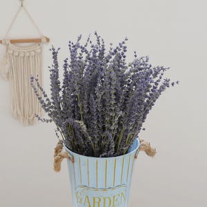 Natural lavender dried flowers, purple lavender, lavender bundles, vase flower arrangement, DIY dried flowers for weddings，home decoration