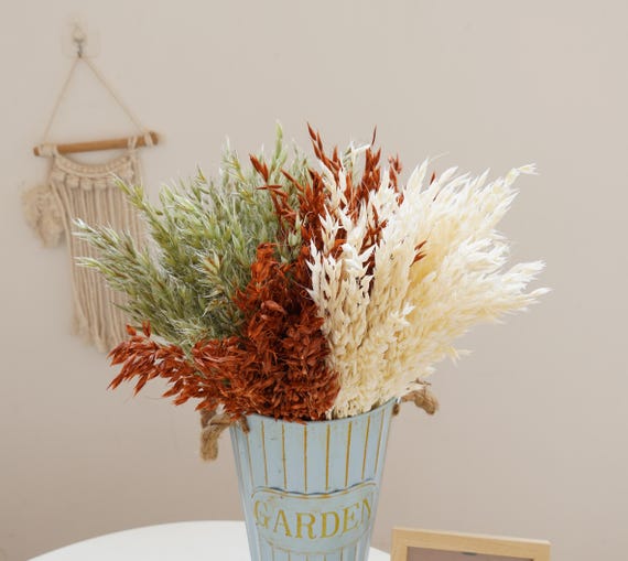 Dried oats, natural oats, burnt orange oats, bleached oats, oat dried flower decoration, wedding home floral arrangement