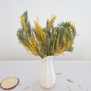 Knstliche mimosen - Etsy.de