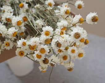 Natural dried daisy bouquet, white natural dried chrysanthemums, daisy floral decoration, wedding home art