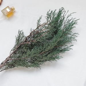 May include: A sprig of green faux cedar with small, dark berries. The cedar branch has a brown stem and is set against a white background. A small, square glass bottle with a gold cap is in the upper left corner.